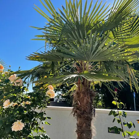 Appartamento Vanessa *