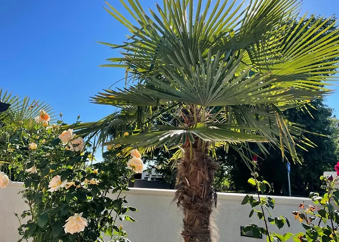 Διαμέρισμα Vanessa *