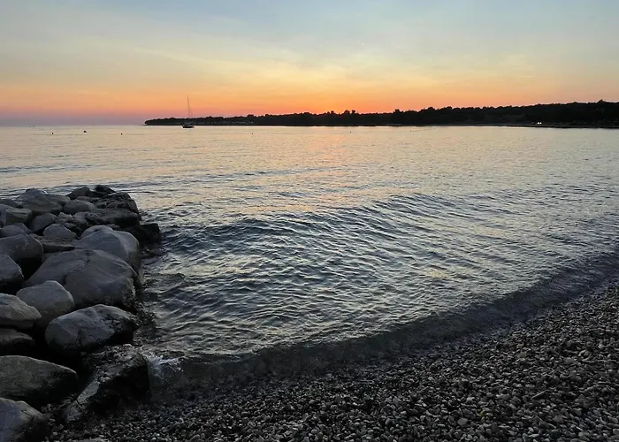 Vanessa Πόρετς